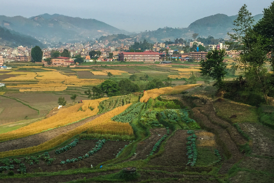 Nepal Earthquake